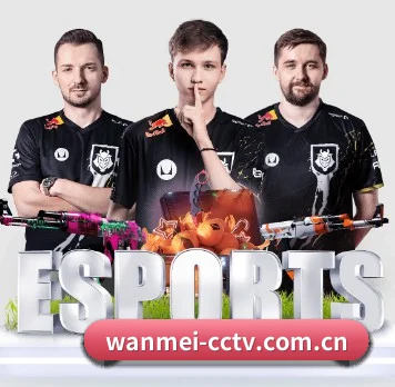 完美体育 APP - WanmeiSports